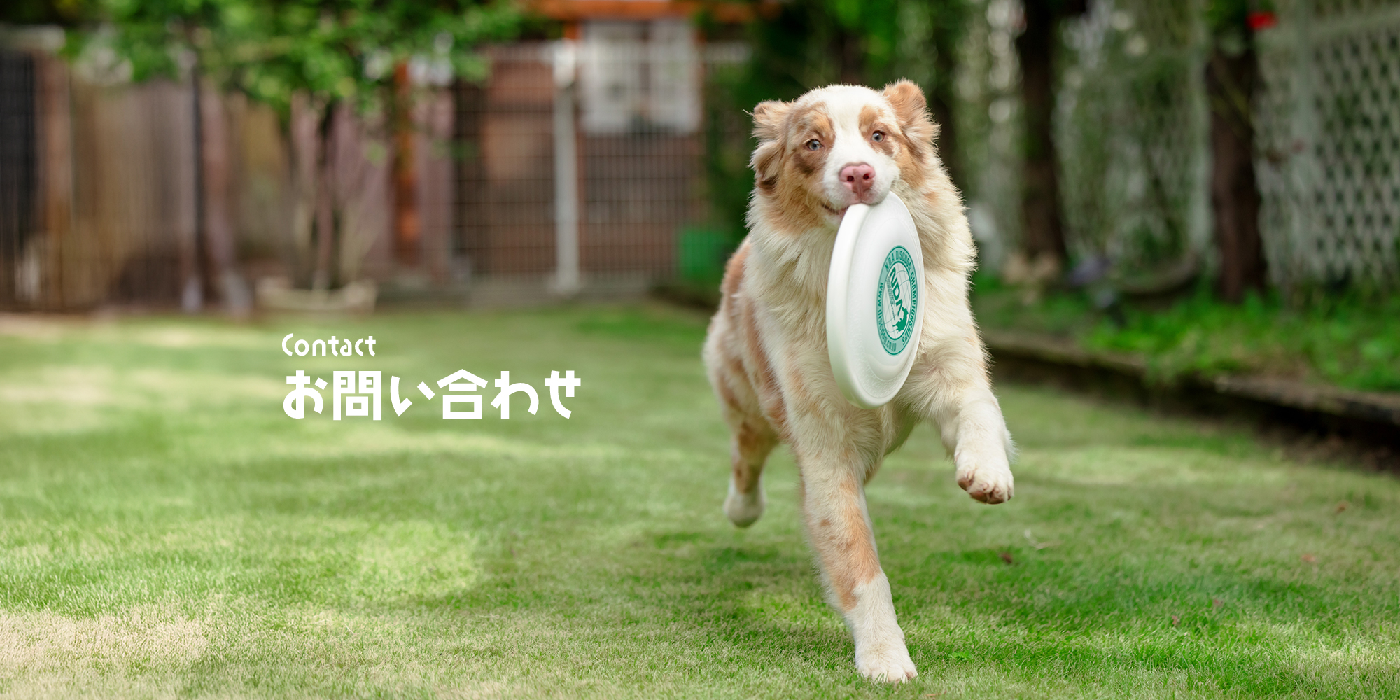 お問い合わせ